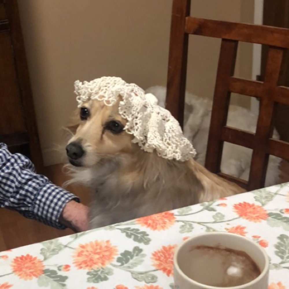 Meet your Posher, Isabelle